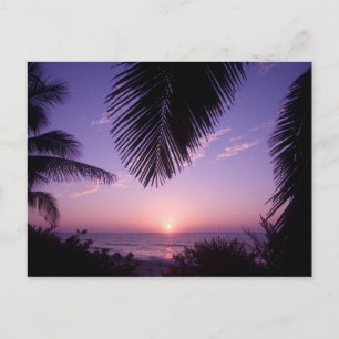 Sunset at West End, Cayman Brac, Cayman Islands, Postkarte