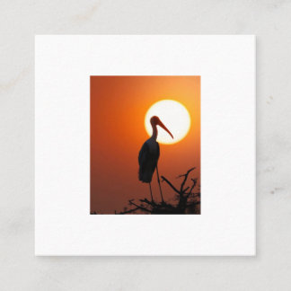 Sunset Bird on Branch - Natuerliche Mauer Quadratische Visitenkarte