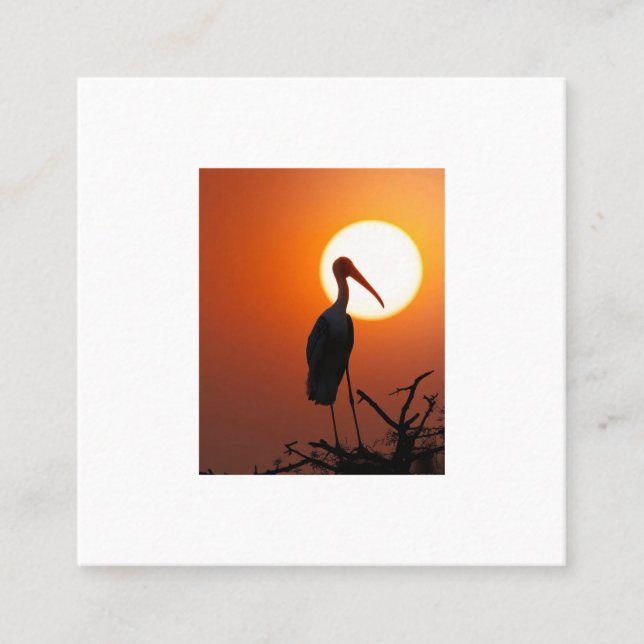 Sunset Bird on Branch - Natuerliche Mauer Quadratische Visitenkarte (Vorderseite)