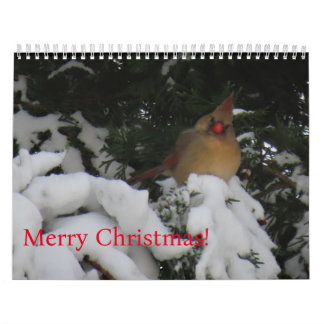 Sunset Calendar 2025 Kalender