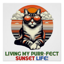 Sunset Cool Cat