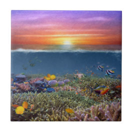 Sunset Coral Reef Fliese