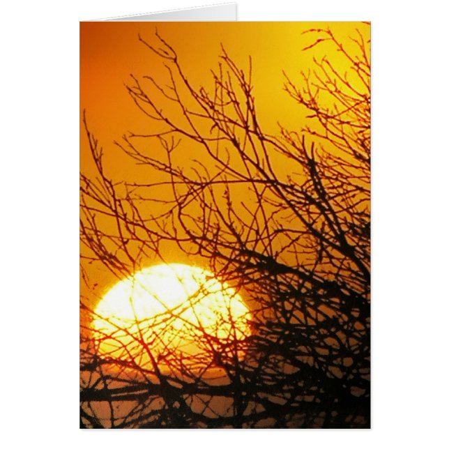 Sunset Delight Card (Vorne)