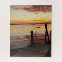 Sunset Delphins