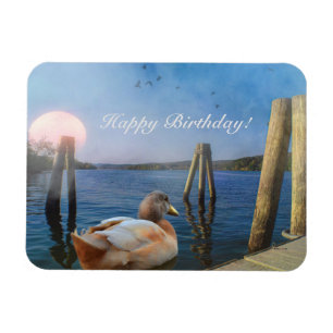 Sunset Duck Happy Birthday Magnet