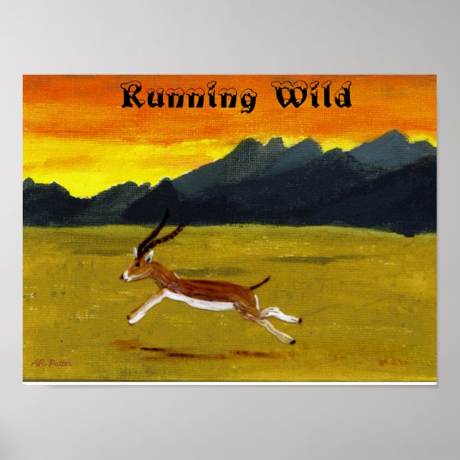 Sunset Gazelle avec une affiche d'animaux sauvages (Devant)