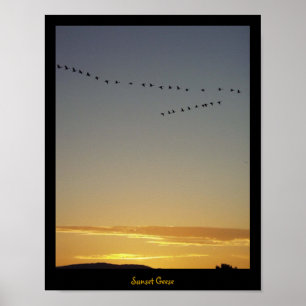 Sunset Ges Poster