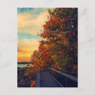 Sunset Herbst Postkarte