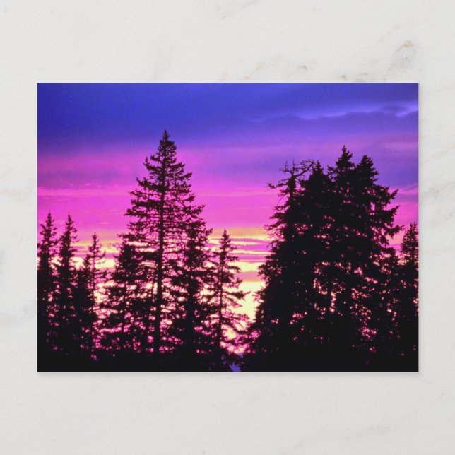 Sunset in der Nähe von Cedar Breaks National Monum Postkarte (Vorderseite)