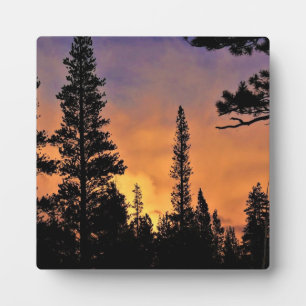 Sunset in Tuolumne Meadows, Yosemite, CA Fotoplatte