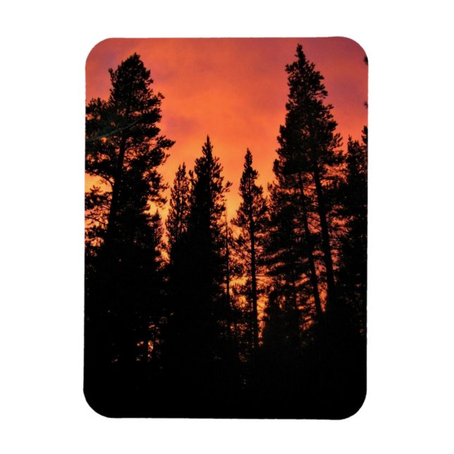 Sunset in Tuolumne Meadows, Yosemite, CA Magnet (Vertikal)