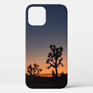 Sunset Joshua Trees Case-Mate iPhone Hülle