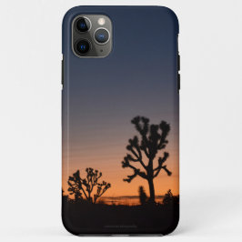 Sunset Joshua Trees Case-Mate iPhone Hülle