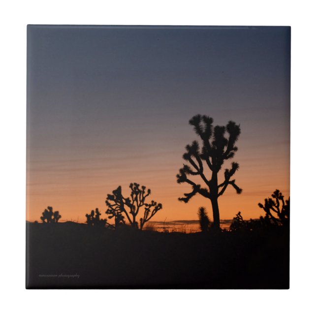 Sunset Joshua Trees Fliese (Vorderseite)
