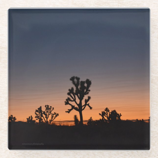 Sunset Joshua Trees Glasuntersetzer (Vorderseite)