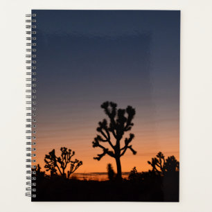 Sunset Joshua Trees Planer