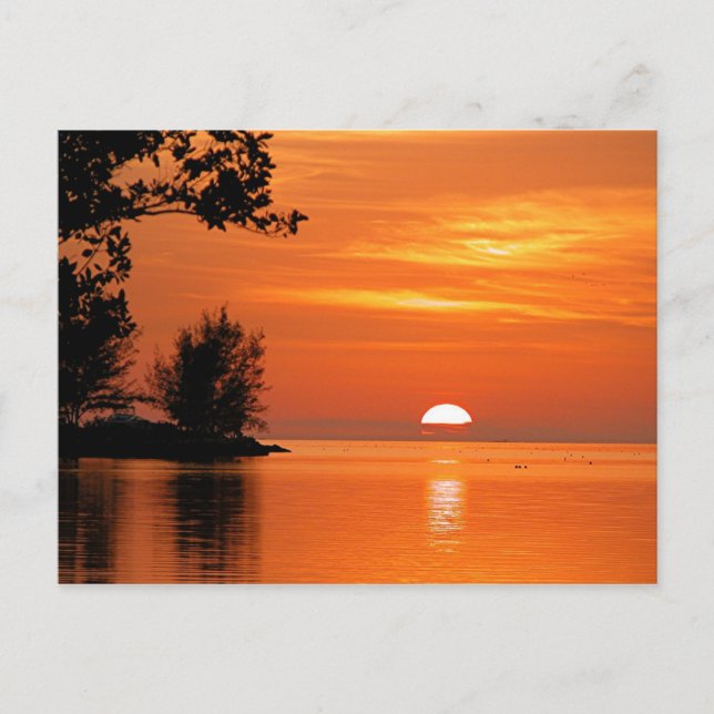 Sunset, Key West, Florida Postkarte (Vorderseite)
