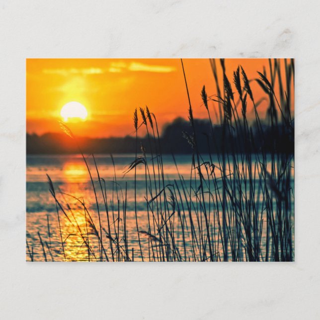 Sunset Lake Postcard Postkarte (Vorderseite)