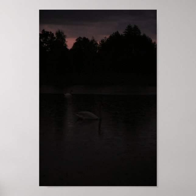 Sunset Lake Rain Schwanenwälder Landschaft Poster (Vorne)
