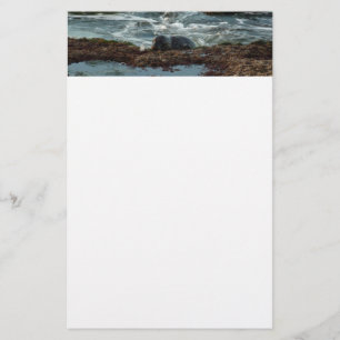 Sunset Lit Harbour Siegel I in San Diego Briefpapier