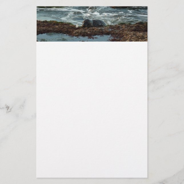 Sunset Lit Harbour Siegel I in San Diego Briefpapier (Vorderseite)