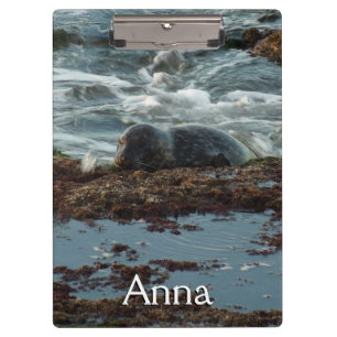 Sunset Lit Harbour Siegel I in San Diego Klemmbrett