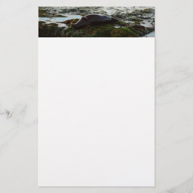 Sunset Lit Harbour Siegel II in San Diego Briefpapier (Vorderseite)