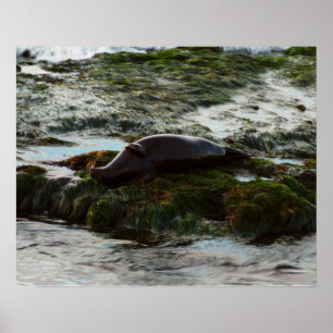 Sunset Lit Harbour Siegel II in San Diego Poster