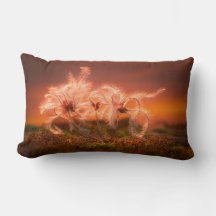 Sunset Macro Nature Scene of Moss and Plant