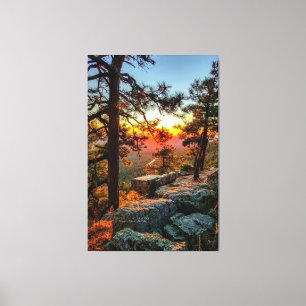 Sunset Mogollon Rim Arizona Pine Trees 40x60 Leinwanddruck