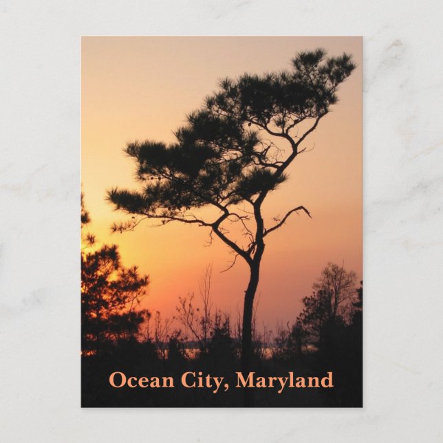 Sunset Ocean City Postcard Postkarte (Vorderseite)