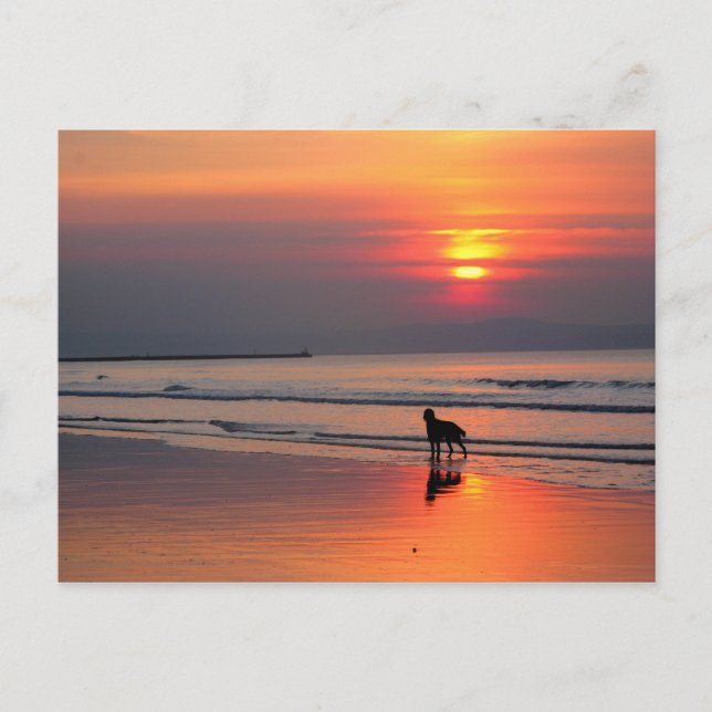 Sunset on Irish Sea Postcard Postkarte (Vorderseite)