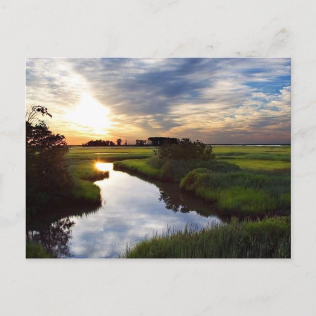 Sunset on Marsh Bombay Hook Deleware Postkarte (Vorderseite)