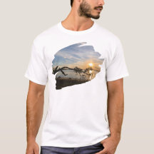 Sunset Over East Bay