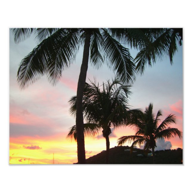 Sunset Palms Tropical Paysage Photographie (Devant)