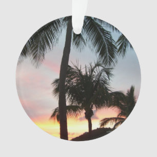 Sunset Palms Tropical Paysage Photographie