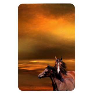 Sunset Pferde Magnet