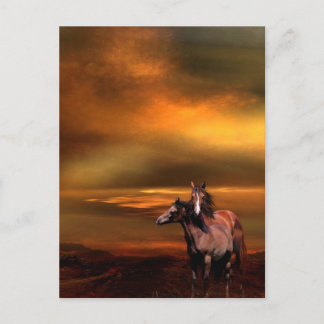 Sunset Pferde Postkarte