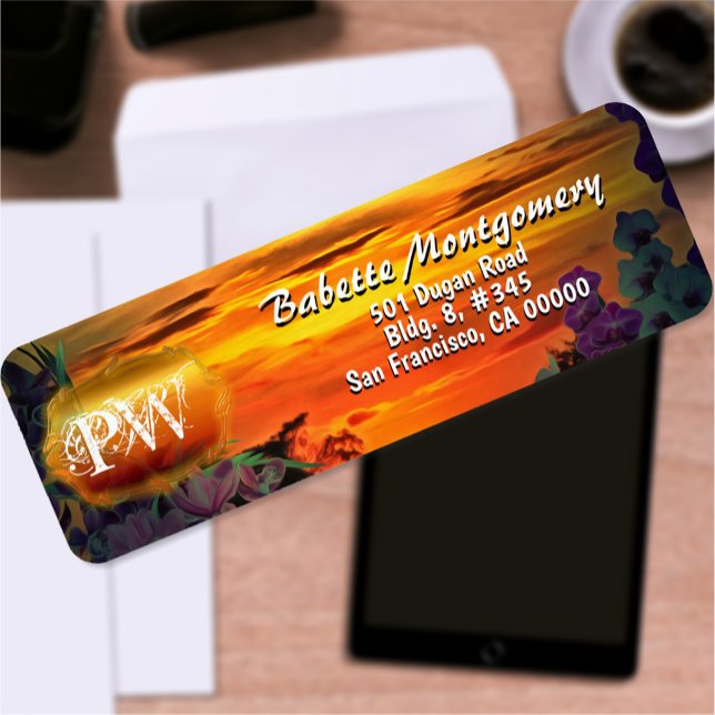 Sunset Plaza Marina 2584 Anschrift (Von Creator hochgeladen)