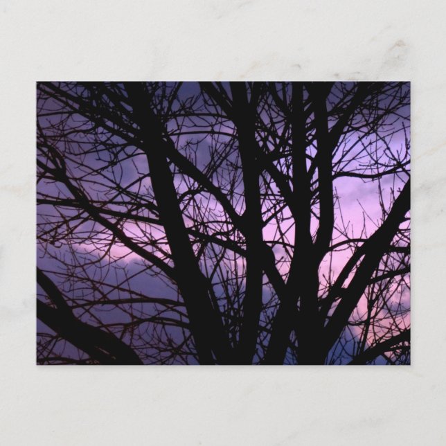 Sunset Postcard Postkarte (Vorderseite)