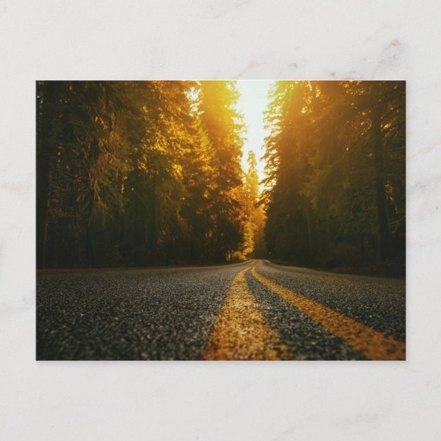 Sunset Road Postkarte (Vorderseite)