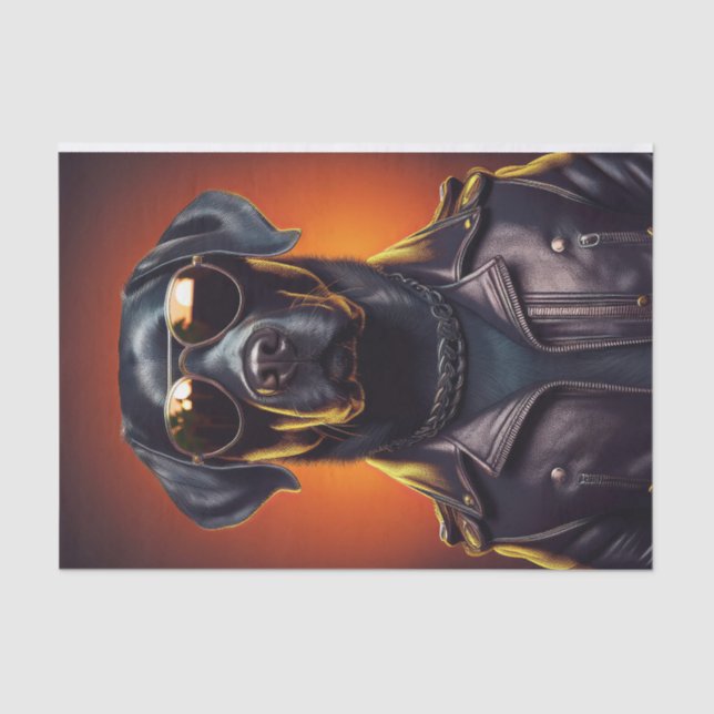 Sunset Sam, Biker Black Lab in Leather Jacket Seidenpapier (Vorderseite)