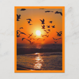 Sunset Scene Orange Border Postkarte