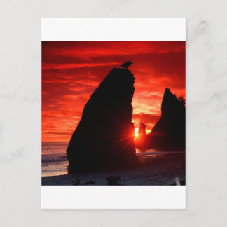 Sunset Sea Stacks Blood Red Postkarte