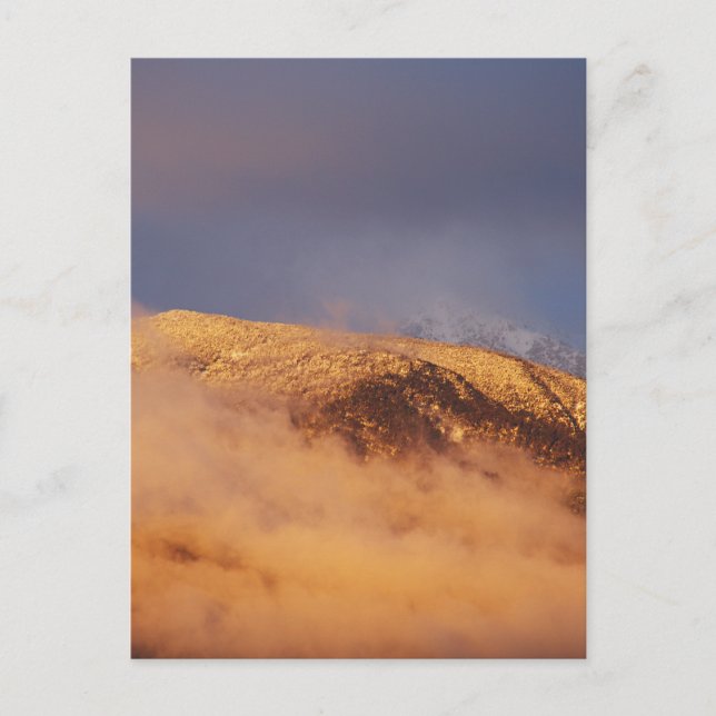 Sunset Snow Mount Bogong Postkarte (Vorderseite)