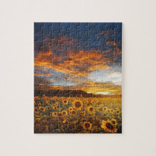 Sunset SunblumenField