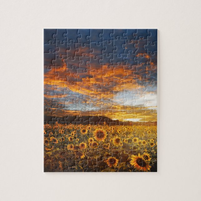 Sunset SunblumenField (Vertikal)