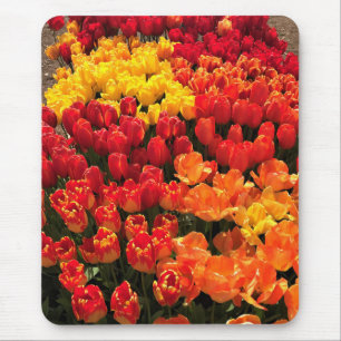 Sunset Tulip Garden Bed. Oregon Mousepad