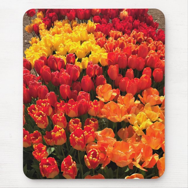 Sunset Tulip Garden Bed. Oregon Mousepad (Vorne)