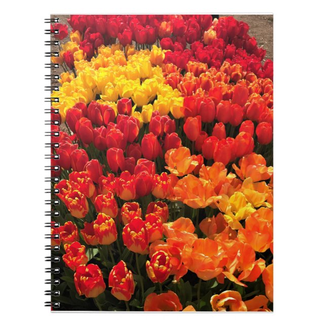 Sunset Tulip Garden Bed. Oregon Notizblock (Vorderseite)